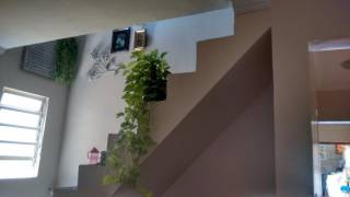 Sobrado com 2 dormitórios à venda, 180 m² por R$ 500.000,00 - Laranjeiras - Caieiras/SP