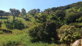 Terreno residencial à venda, no bairro de Laranjeiras.
