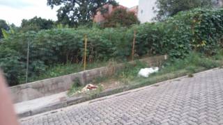 Terreno à venda, Vera Tereza, Caieiras.