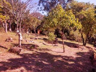 Terreno residencial à venda, com duas casas +- 160 m² área construída, Morro Grande, Caieiras.