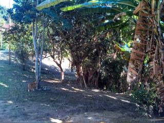 Terreno residencial à venda, com duas casas +- 160 m² área construída, Morro Grande, Caieiras.