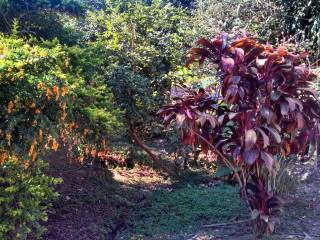 Terreno residencial à venda, com duas casas +- 160 m² área construída, Morro Grande, Caieiras.