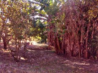 Terreno residencial à venda, com duas casas +- 160 m² área construída, Morro Grande, Caieiras.