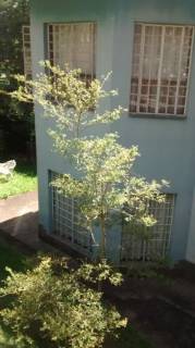 Sobrado com 3 dormitórios à venda, 203 m² por R$ 1.200.000 - Alpes de Caieiras - Caieiras/SP