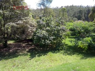 Chácara Para Vender com 6 quartos 3 suítes no bairro Jardim dos Lagos em Franco Da Rocha