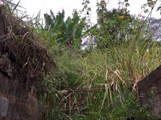 Casa Para Vender com 1 quartos no bairro Jardim Constância em Francisco Morato