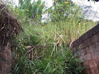 Casa Para Vender com 1 quartos no bairro Jardim Constância em Francisco Morato