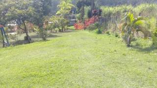 Chácara com 3 dormitórios à venda, 11200 m² - Chácaras Maristela - Franco da Rocha/SP