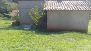 Chácara com 3 dormitórios à venda, 11200 m² - Chácaras Maristela - Franco da Rocha/SP