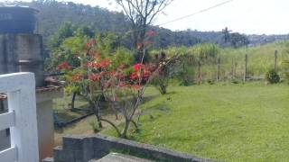 Chácara com 3 dormitórios à venda, 11200 m² - Chácaras Maristela - Franco da Rocha/SP