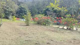 Chácara com 3 dormitórios à venda, 11200 m² - Chácaras Maristela - Franco da Rocha/SP