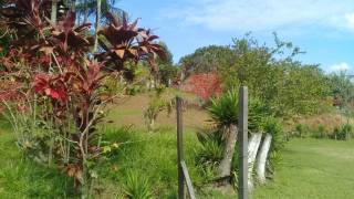 Chácara com 3 dormitórios à venda, 11200 m² - Chácaras Maristela - Franco da Rocha/SP