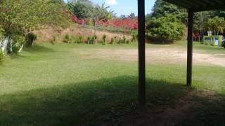 Chácara com 3 dormitórios à venda, 11200 m² - Chácaras Maristela - Franco da Rocha/SP