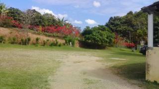 Chácara com 3 dormitórios à venda, 11200 m² - Chácaras Maristela - Franco da Rocha/SP