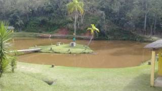 Chácara com 3 dormitórios à venda, 11200 m² - Chácaras Maristela - Franco da Rocha/SP