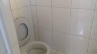 Chácara com 3 dormitórios à venda, 11200 m² - Chácaras Maristela - Franco da Rocha/SP