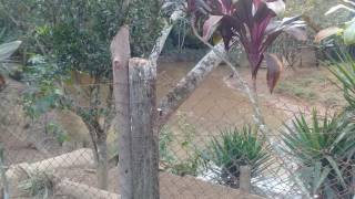 Chácara com 3 dormitórios à venda, 11200 m² - Chácaras Maristela - Franco da Rocha/SP