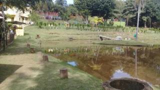 Chácara com 3 dormitórios à venda, 11200 m² - Chácaras Maristela - Franco da Rocha/SP