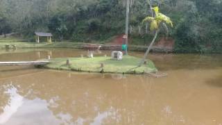 Chácara com 3 dormitórios à venda, 11200 m² - Chácaras Maristela - Franco da Rocha/SP