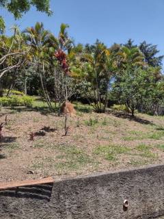 Chácara com 3 dormitórios, 6400 m² - venda por R$ 1.500.000,00 ou aluguel por R$ 7.000,00/mês - Santa Inês - Caieiras/SP