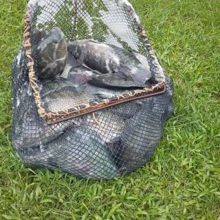 Chácara com pesqueiro a venda!