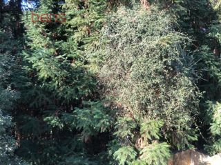 Casa Para Vender com 3 quartos 1 suítes no bairro Nova Caieiras em Caieiras