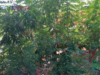 Sobrado Para Vender com 3 quartos 1 suítes no bairro Laranjeiras em Caieiras