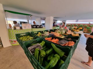 Apartamento no Parque Renascença semi-mobiliado com 2 quartos (1 suíte)