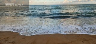 Vendo casa a beira mar de sonho verde