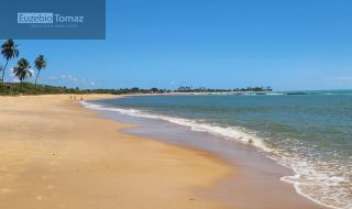 Oportunidade no Sonho verde