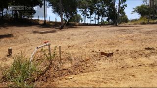 Oportunidade no Sonho verde