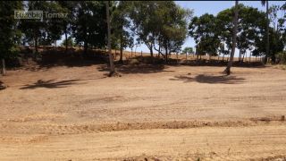 Oportunidade no Sonho verde