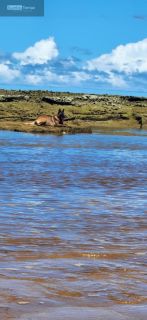 Vendo terreno em Tabuba a 100m do mar