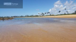 Terreno a beira mar de sonho verde