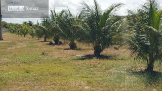 Lote em condomínio à beira mar