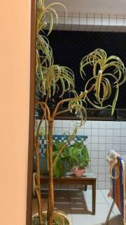 Apto 3q totalmente nascente na mangabeiras