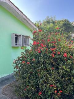 Casa 2/4 com Suíte, Amplo Quintal e Dependência Completa Próxima à Av. Maria Quitéria.