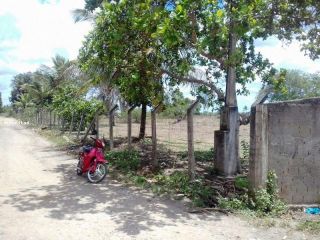Terreno no bairro Magalhães