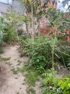 Casa no bairro Chácara São Cosme