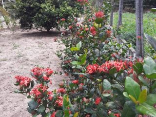 Chácara no bairro Tapera