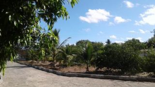 Chácara no bairro Tapera