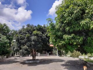 Chácara no bairro Tapera