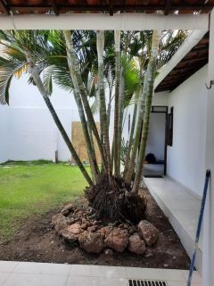 Casa em Condomínio no bairro MUCHILA
