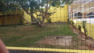 Chácara no bairro Distrito Maria Quiteria