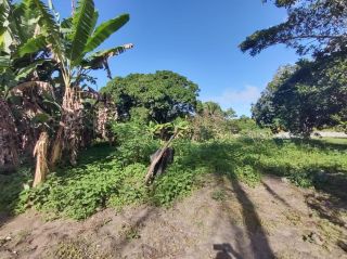 Sítio no bairro ZONA RURAL