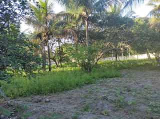 Sítio no bairro ZONA RURAL