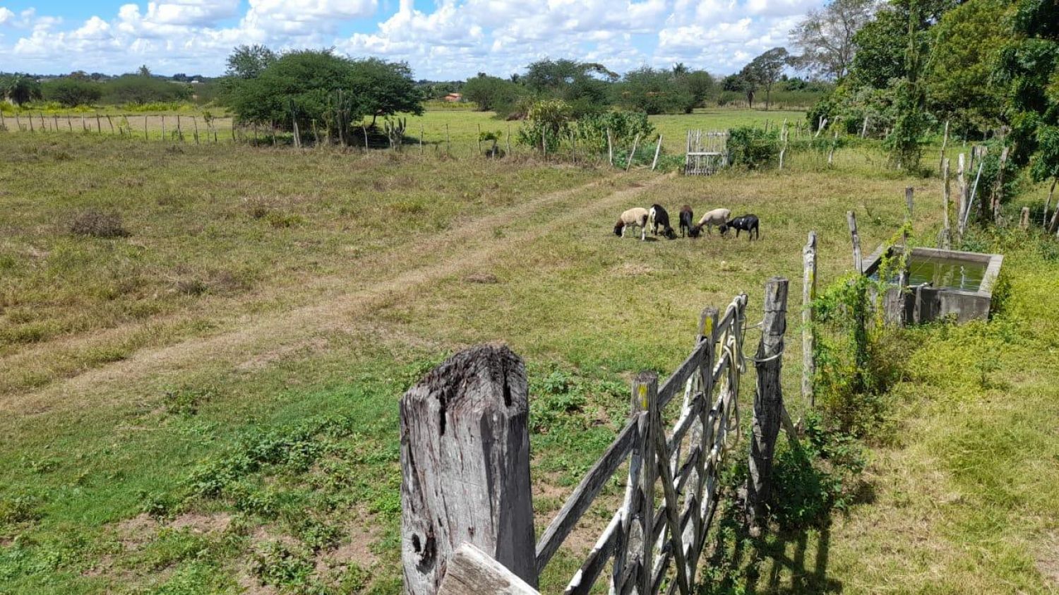 Sítio no bairro Matinha