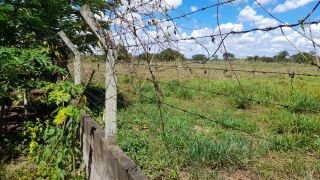 Sítio no bairro Matinha