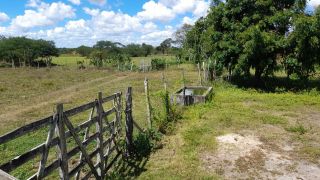 Sítio no bairro Matinha