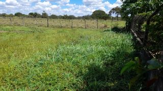 Sítio no bairro Matinha